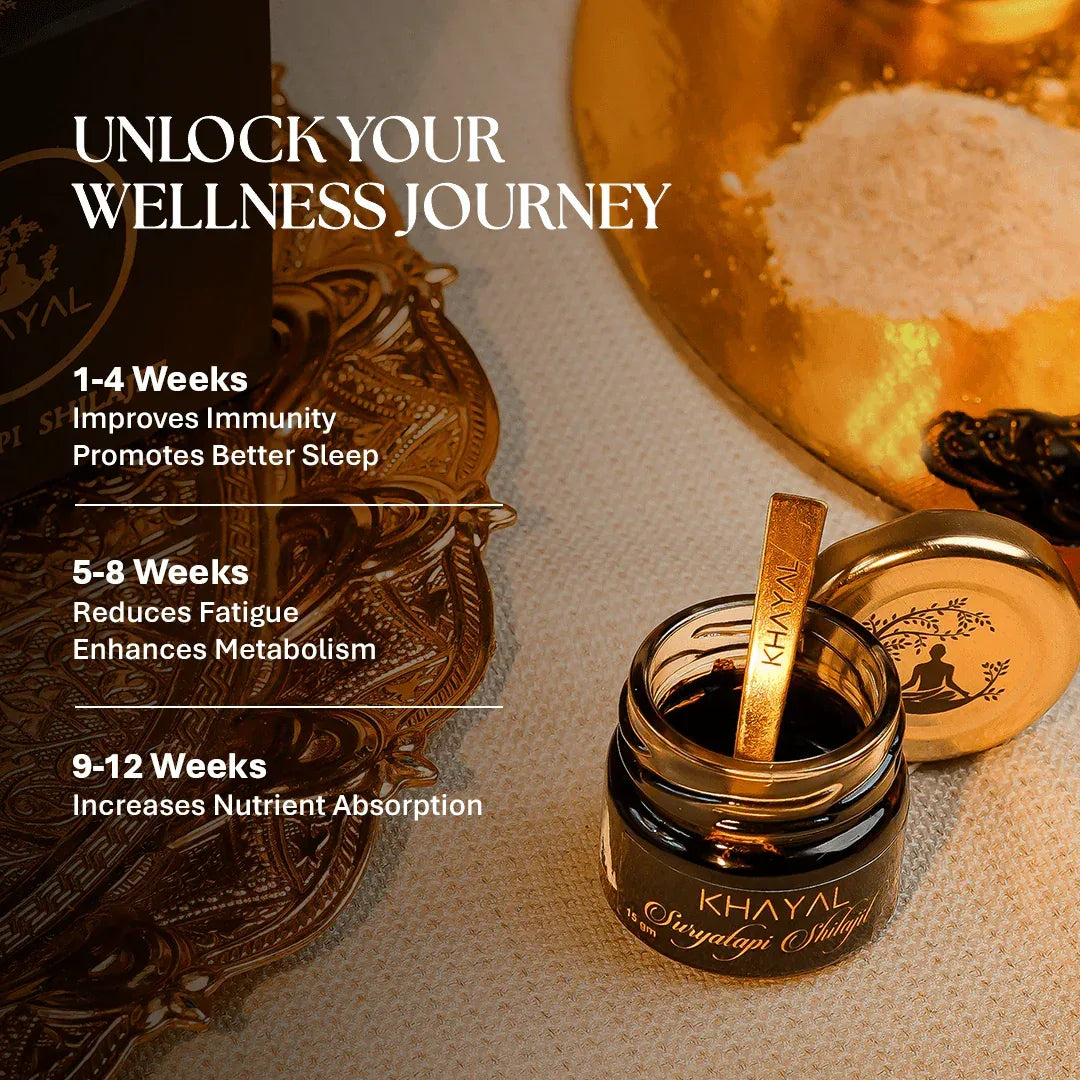 Khayal Suryatapi Shilajit | 100% Pure Himalayan Resin | For Men and Women