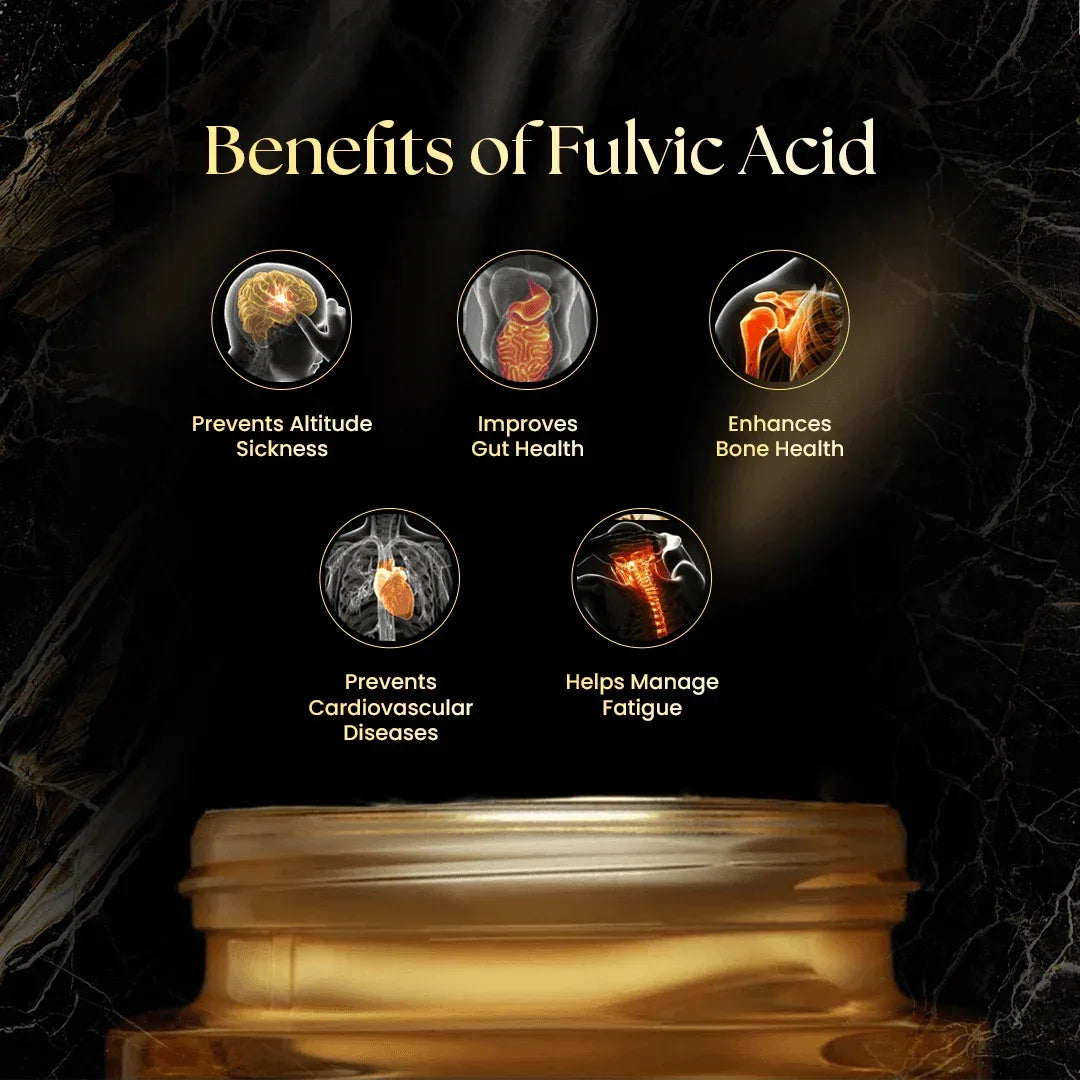 Khayal Suryatapi Shilajit Gold (30gm) | Premium Himalayan Resin with Swarna Bhasma & Swarna Vark | For Men and Women