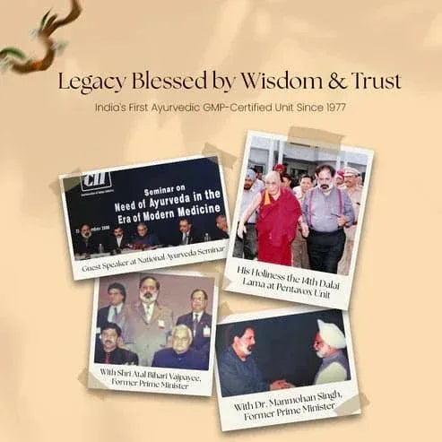 Khayal Suryatapi Shilajit | 100% Pure Himalayan Resin | For Men and Women